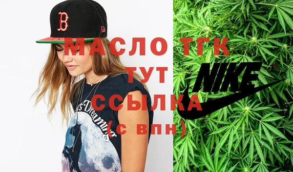 прущий лед Бородино