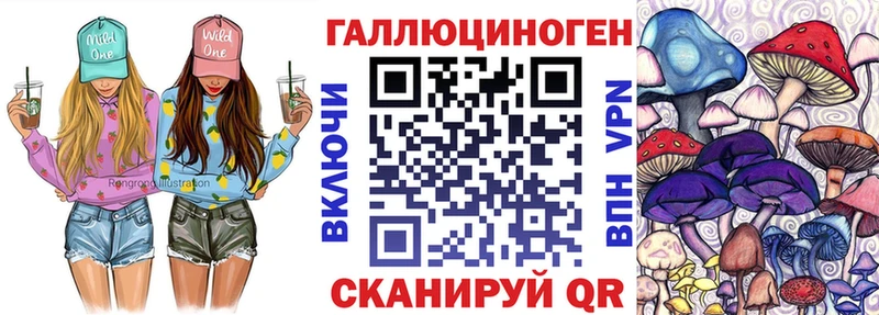 где купить наркотик  Пионерский  Псилоцибиновые грибы мухоморы 